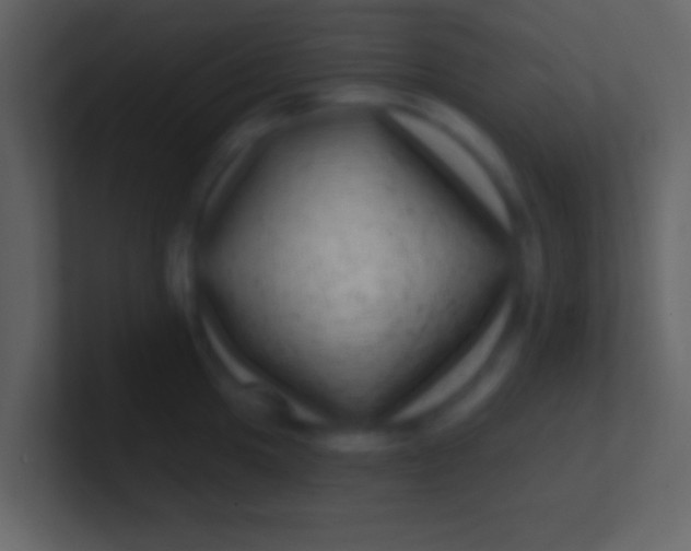 X0000100911049200807081120