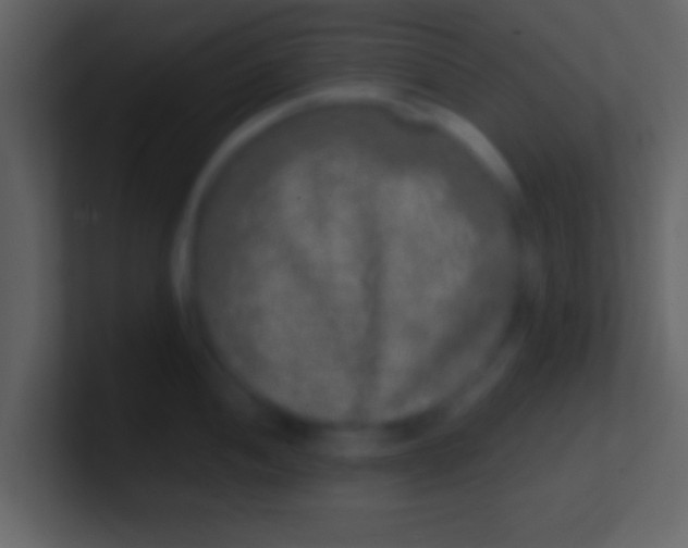 X0000100911052200807081120