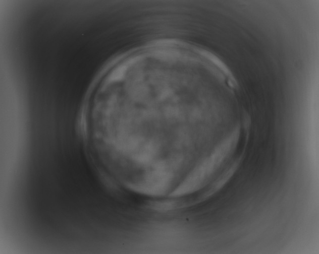X0000100911054200807081120