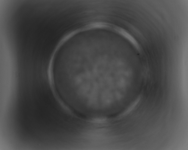 X0000100911055200807081120
