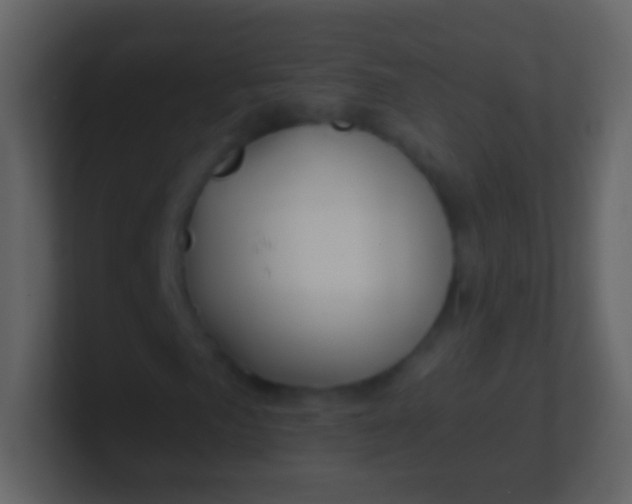X0000100911057200807081119