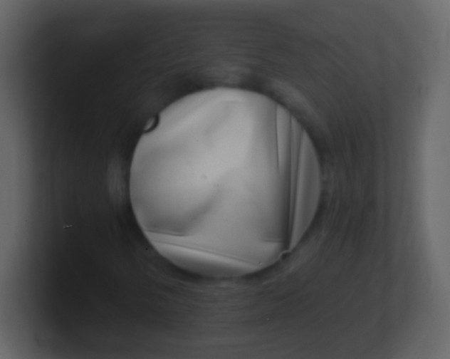 X0000100911058200807081119