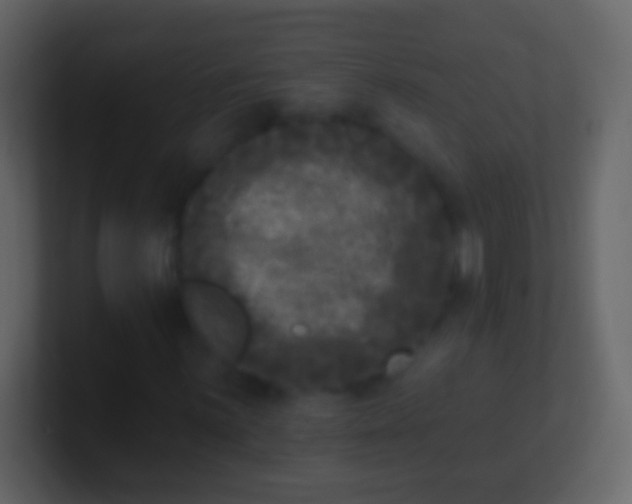 X0000100911059200807081119