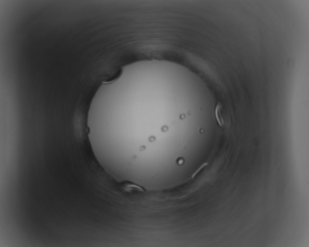 X0000100911060200807081119