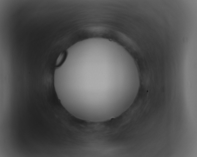 X0000100911061200807081119
