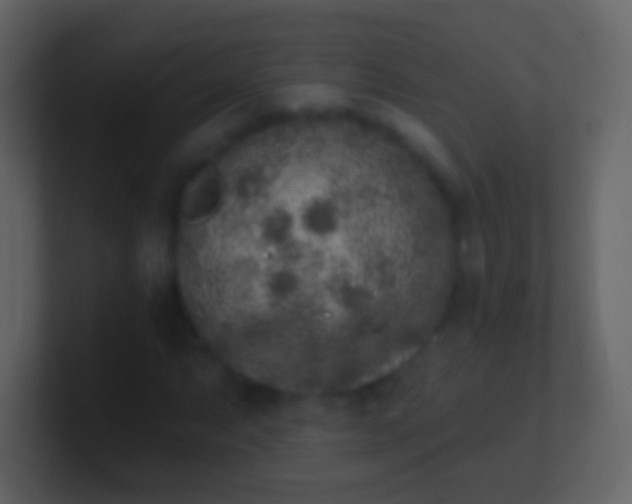 X0000100911063200807081119
