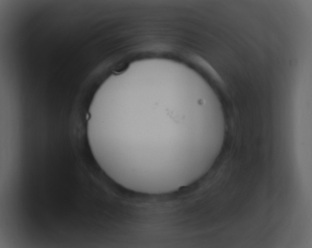 X0000100911064200807081119