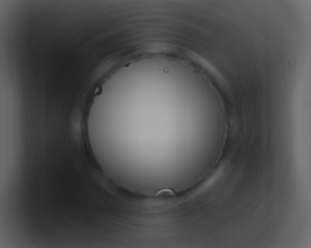 X0000100911065200807081119