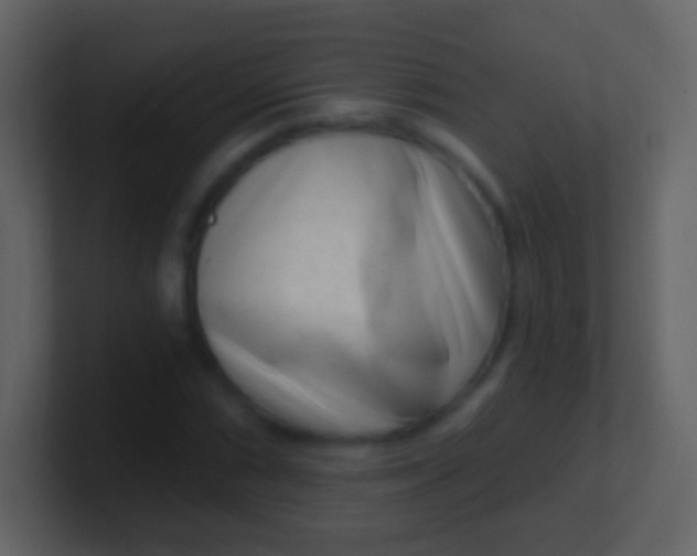 X0000100911066200807081119