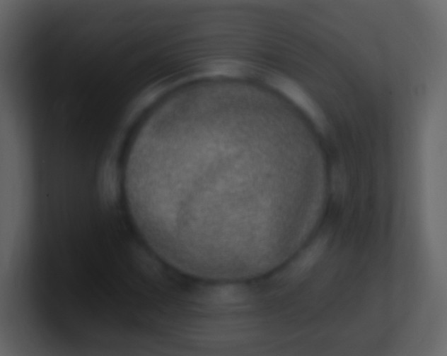 X0000100911067200807081119