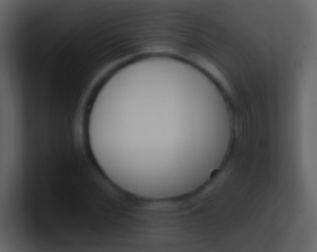 X0000100911068200807081119