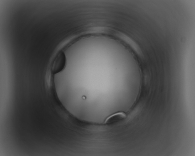 X0000100911069200807081119