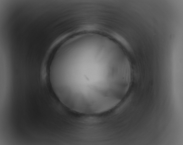 X0000100911070200807081119
