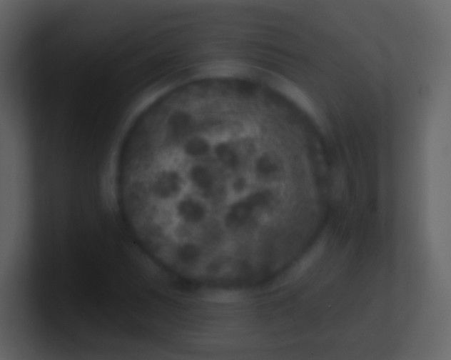 X0000100911071200807081119