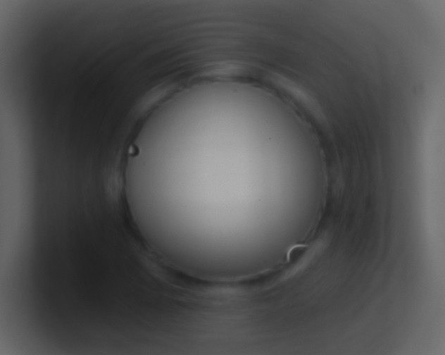 X0000100911073200807081119