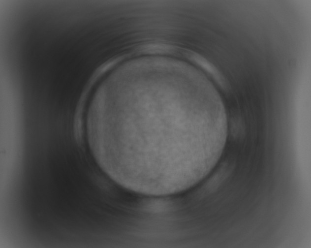 X0000100911074200807081119