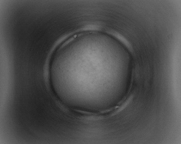 X0000100911077200807081119