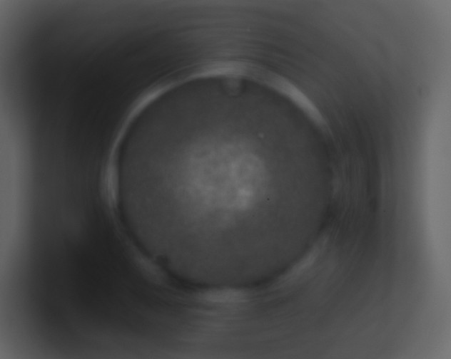 X0000100911079200807081119