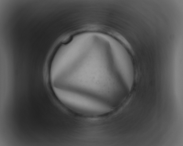 X0000100911080200807081119