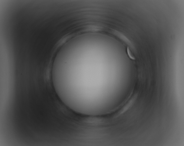 X0000100911081200807081119