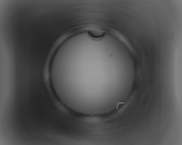 X0000100911082200807081119