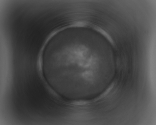 X0000100911083200807081119