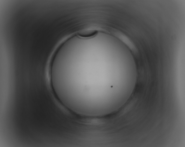 X0000100911084200807081119