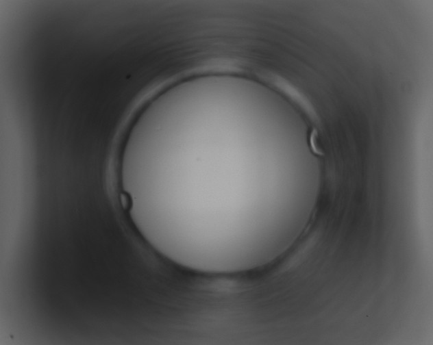 X0000100911085200807081119