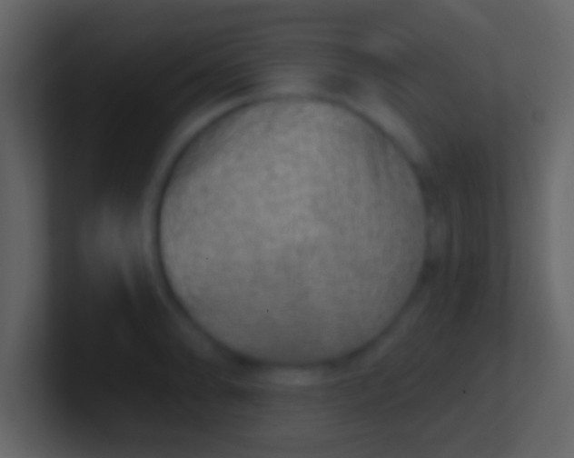 X0000100911086200807081119