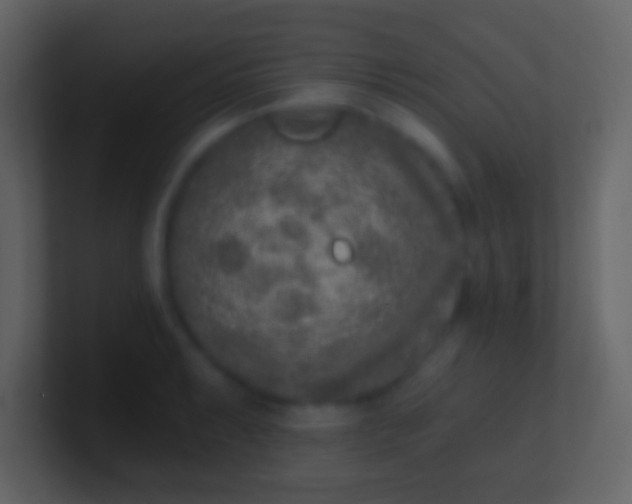 X0000100911087200807081119
