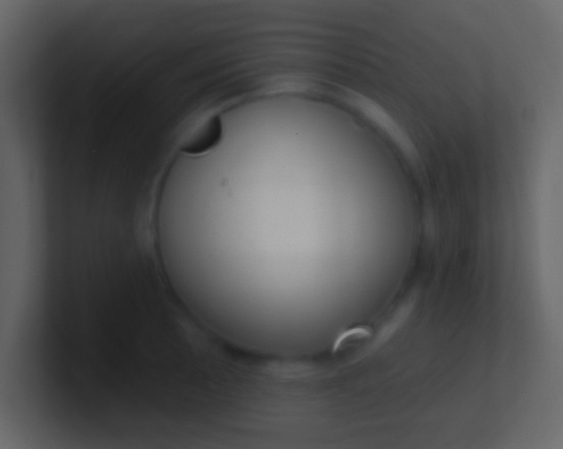 X0000100911089200807081119