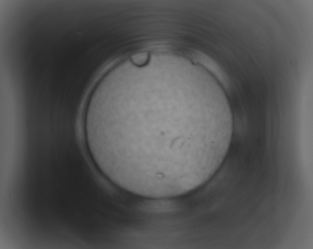 X0000100911090200807081119