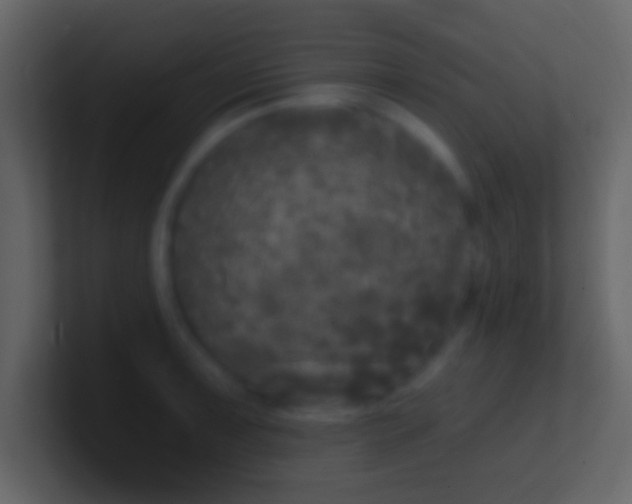 X0000100911091200807081119