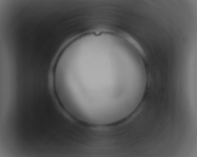 X0000100911092200807081119