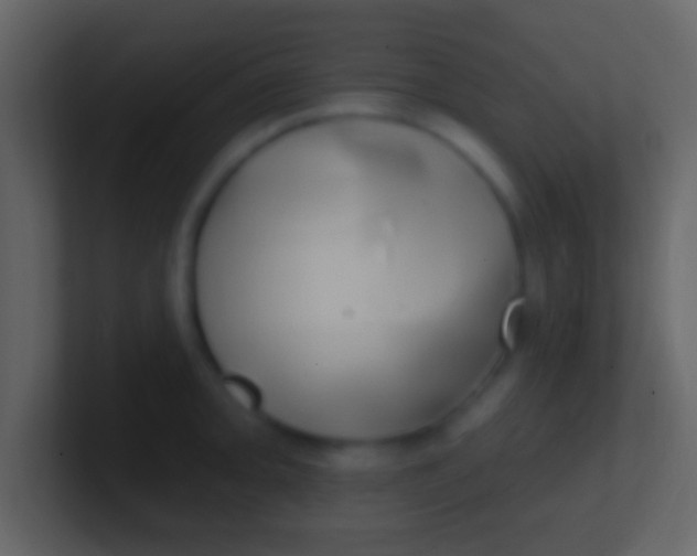 X0000100911093200807081119