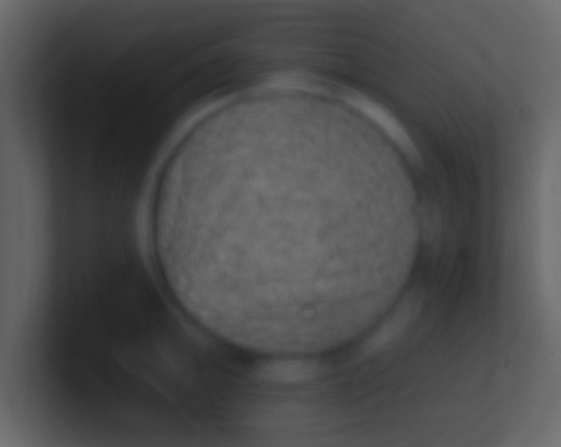 X0000100911094200807081119