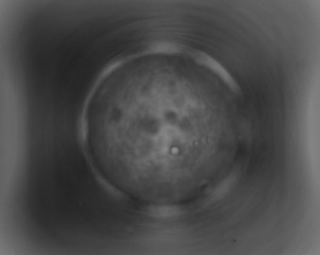 X0000100911095200807081119