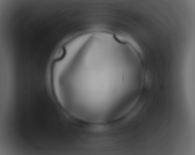 X0000100911096200807081119