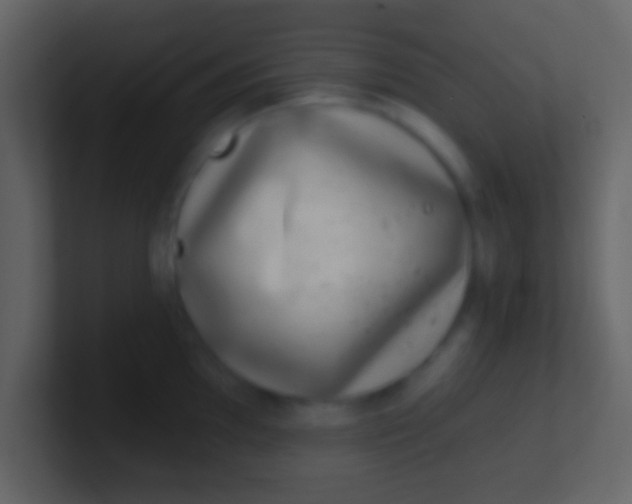 X0000100911097200807081119