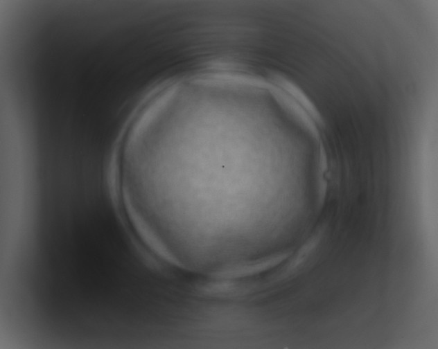 X0000100911098200807081119