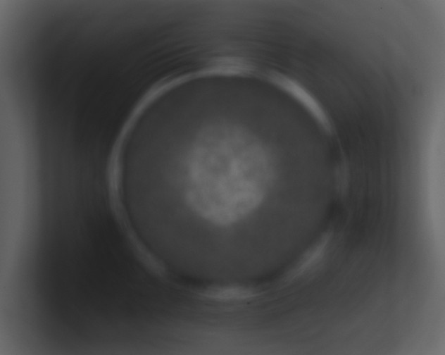 X0000100911099200807081119