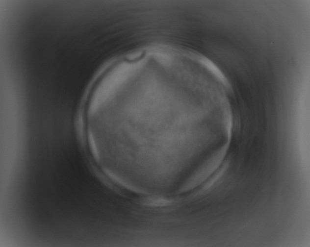 X0000100911100200807081119