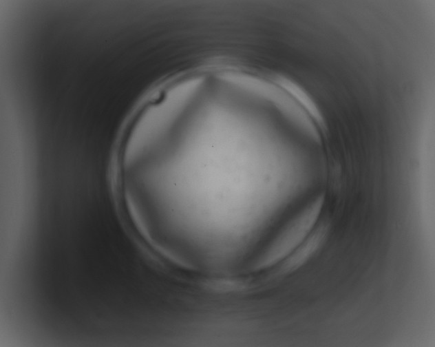X0000100911101200807081119