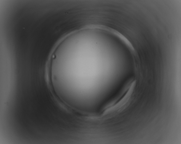 X0000100911102200807081119