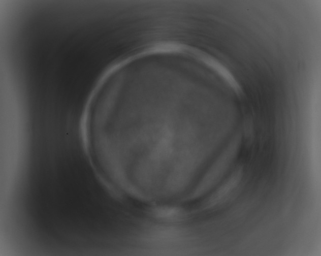 X0000100911103200807081119