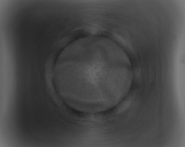 X0000100911105200807081118