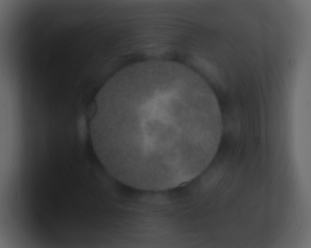 X0000100911106200807081118