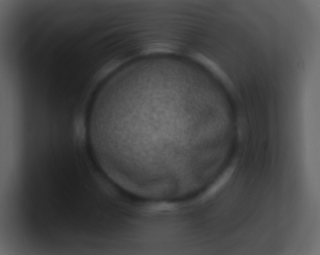 X0000100911113200807081118