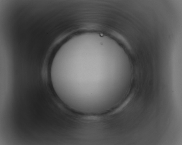 X0000100911114200807081118