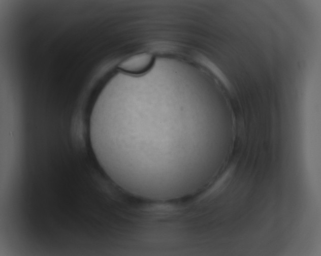 X0000100911115200807081118